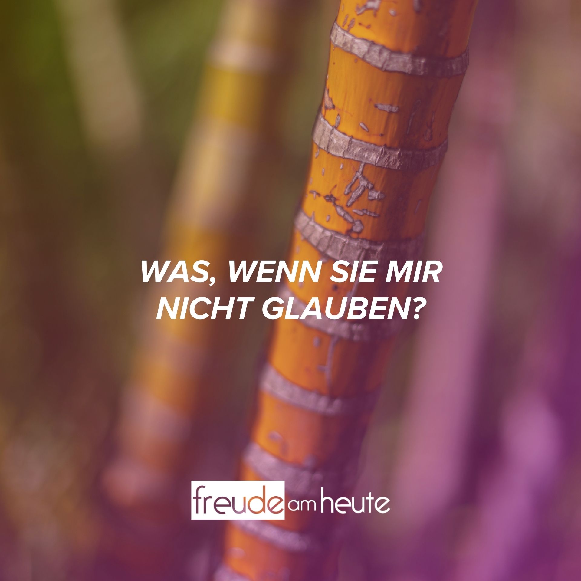 Freude Am Heute