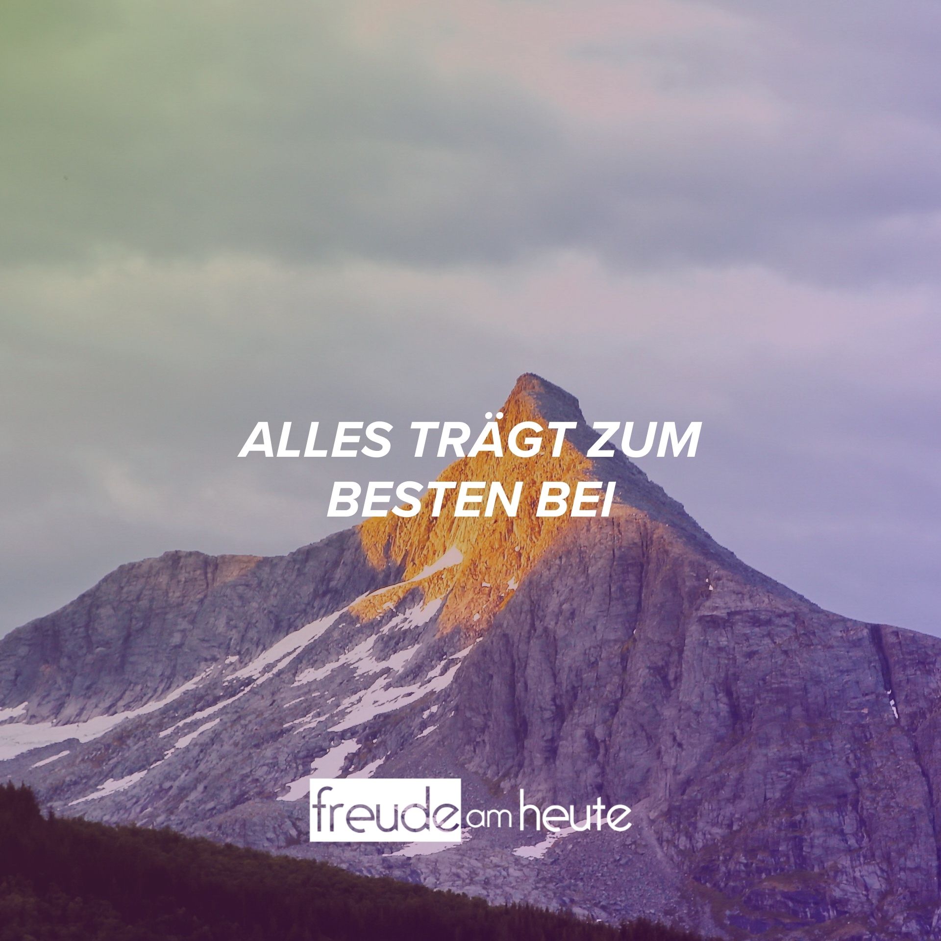 Freude Am Heute