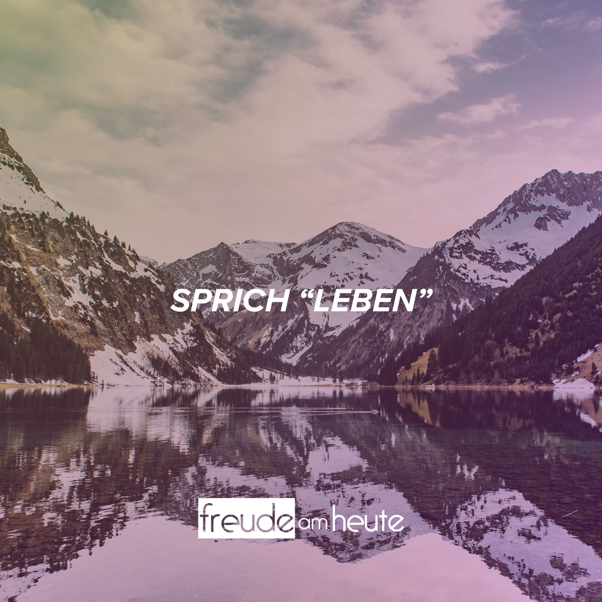 Sprich „Leben“ (2)