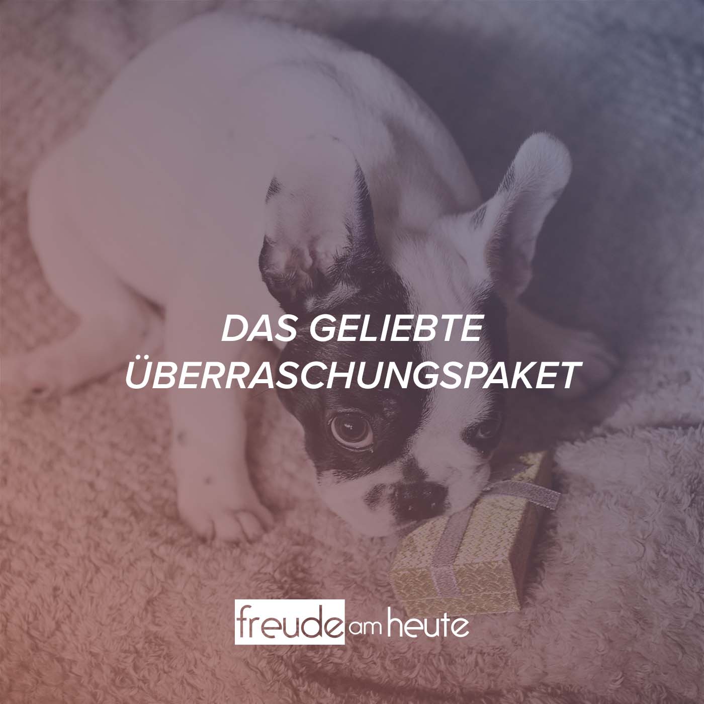 Ratschläge für deine Ehe Freude am Heute