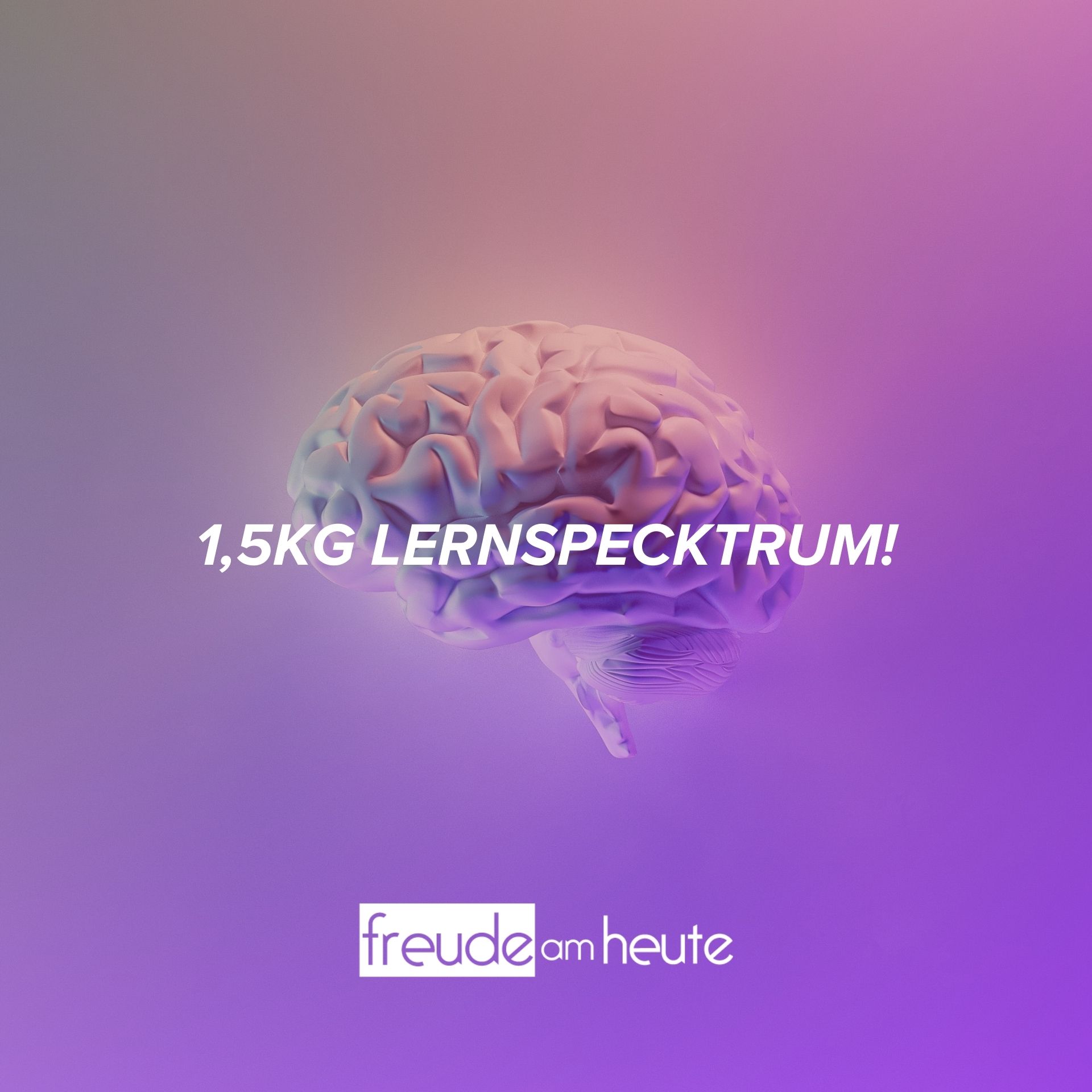 Höre niemals auf zu lernen (1) - Freude am Heute