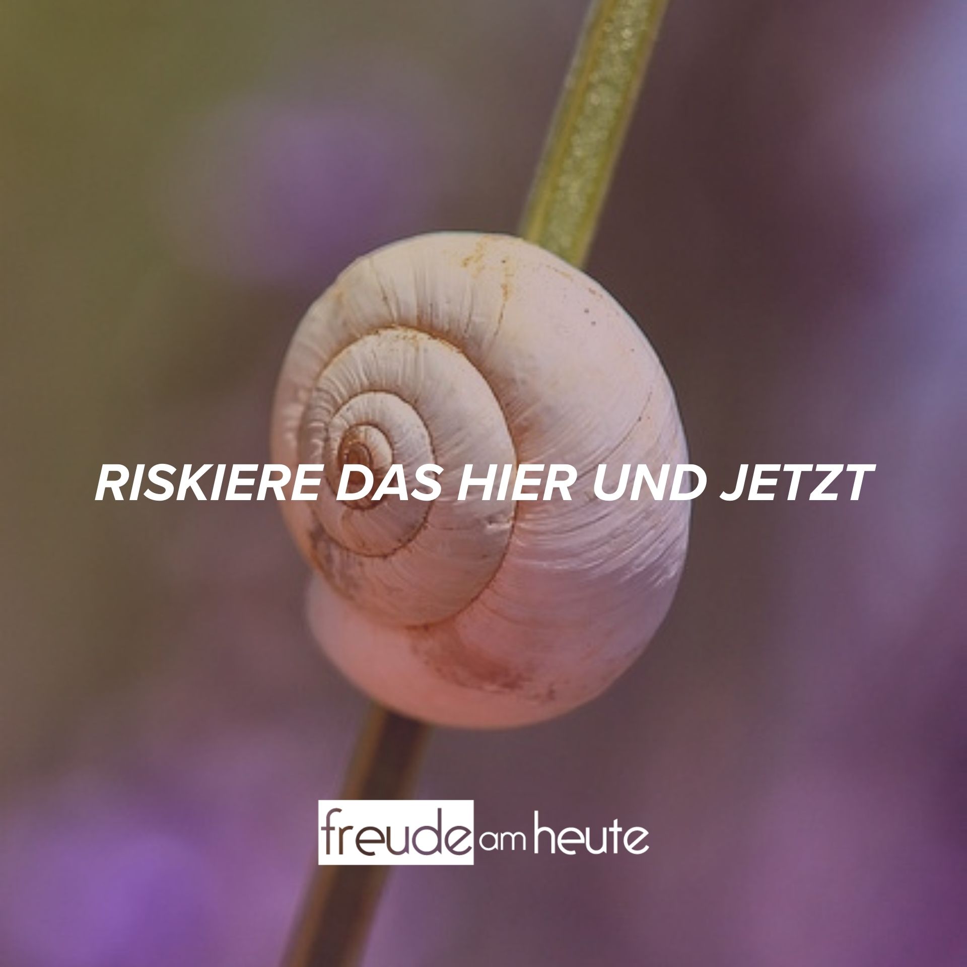 Im „Hier und Jetzt“ leben Freude am Heute